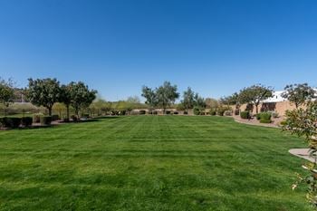 Dog park